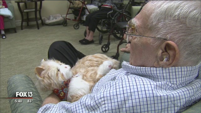 Dementia patients find comfort in robotic pets
