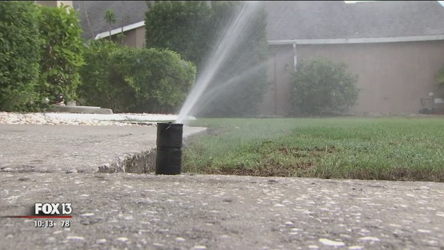 Sun City Center woman's $1,200 water bill blamed on sprinkler use