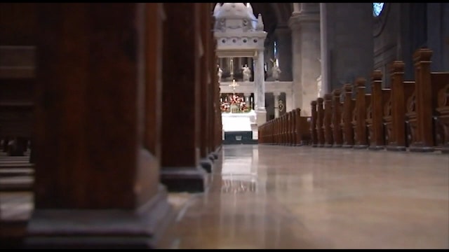 Catholic priest abuse: Florida Attorney General establishes tip line