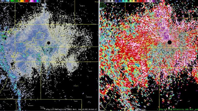Massive wave of butterflies lights up Denver weather radar
