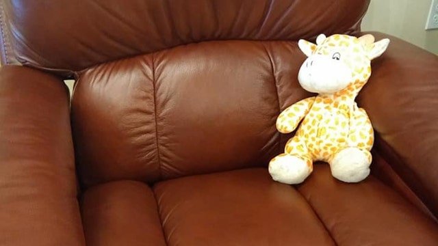 Found in Lakeland, stuffed giraffe missing its owner