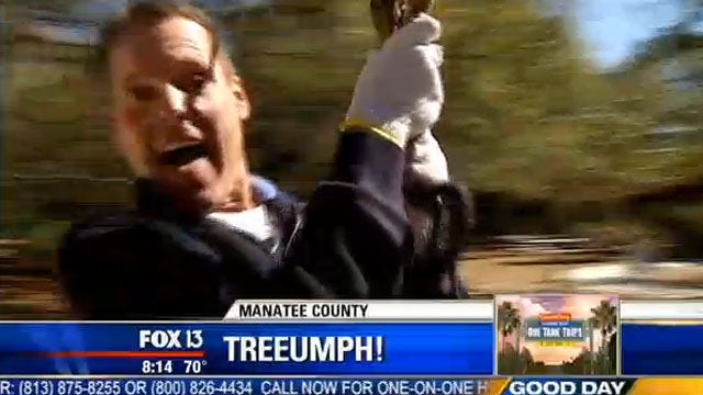 One Tank Trip: Tree-Umph!