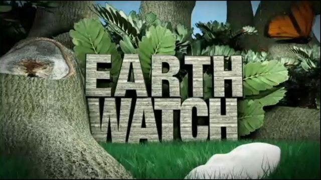 Earth Watch: Learning Garden Workshop
