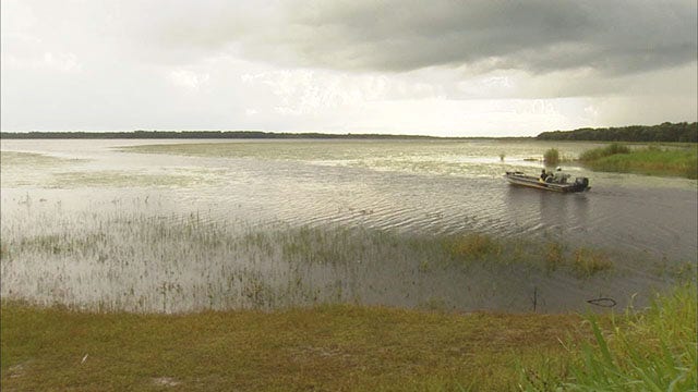 Myakka River State Park: A window into the way Florida used to be