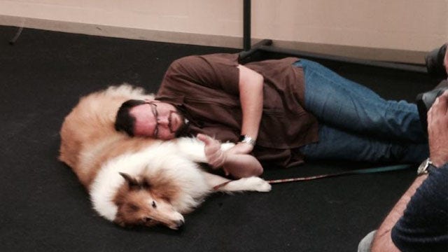 SPCA Tampa Bay's 'Dog Training for Kids' camp