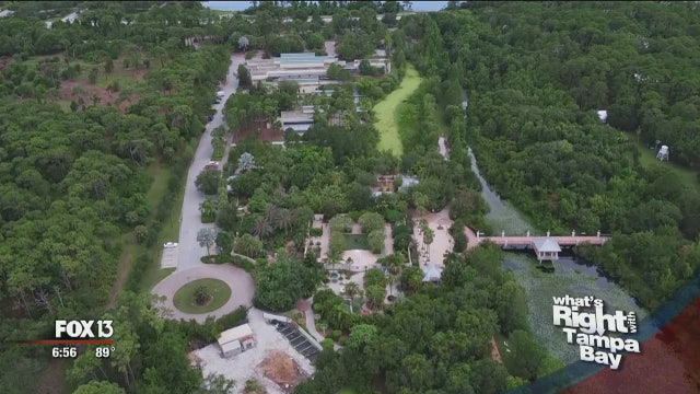 Florida Botanical Gardens is Pinellas' tropical oasis