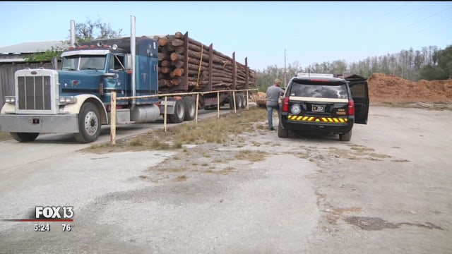 School principal killed in Land O' Lakes crash