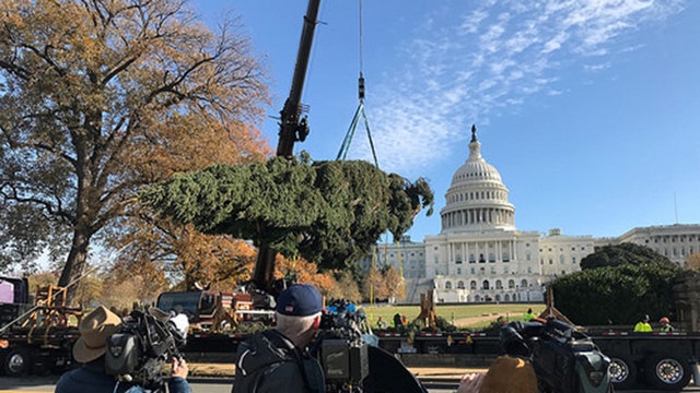 Christmas tree lit on lawn of U.S. Capitol