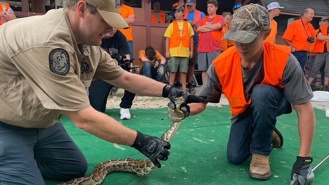 FWC program lets teens join the python hunt