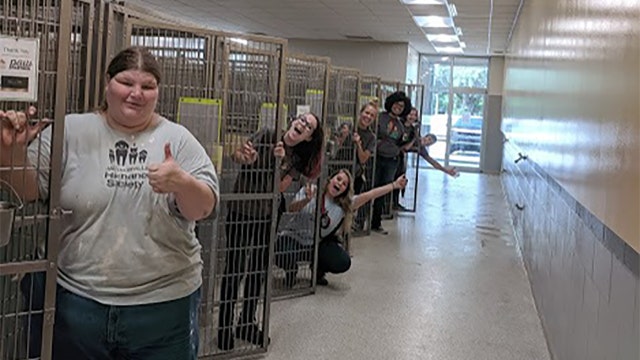 Florida humane society celebrates empty cages after community rushes to aid of shelter animals