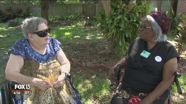 Homebound seniors get in-home help from their peers