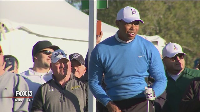 Tiger-mania grips Innisbrook resort for the Valspar Championship