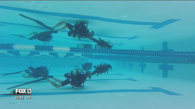 Woman paralyzed at waist conquers diving lessons