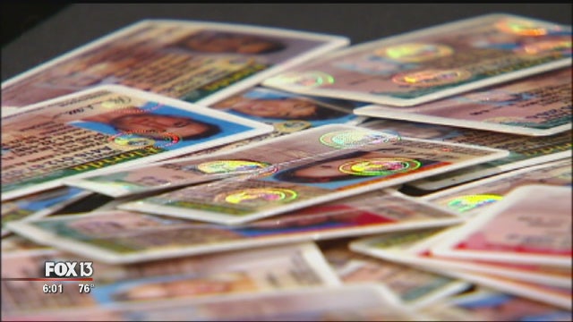 Senator calls for Florida DMV review after FOX 13 investigation