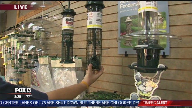 Wild Birds Unlimited of Tampa