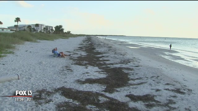 Pass-a-Grille Beach re-nourishment to begin in 2021
