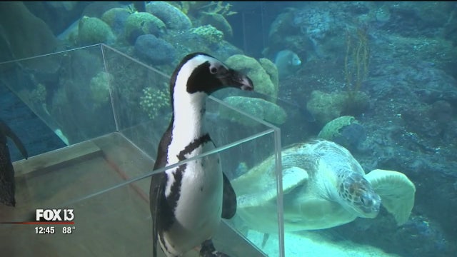 'Brews By The Bay' returns