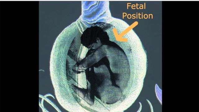 Egg-shaped pods could become new burial alternative