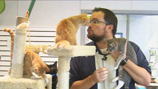 Humane Society of Polk County