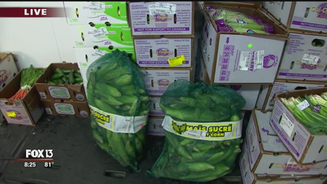 Charley Belcher visit Tampa Bay Organics