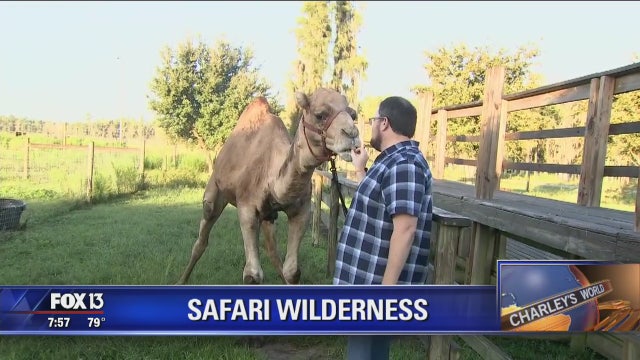 Charley visits Safari Wilderness