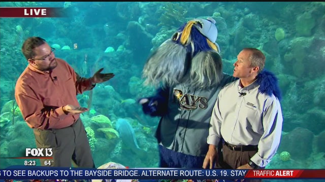 Charley at The Florida Aquarium for Guppyween