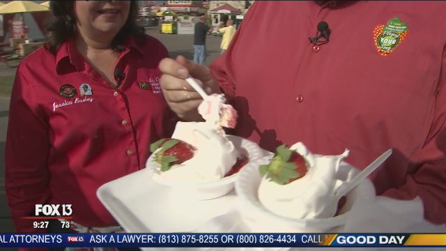 Charley at the Florida Strawberry Festival