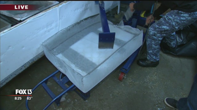Charley Belcher checks out ice sculptures