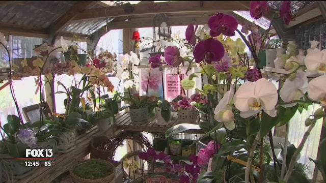 Bayshore Market has everything from fresh produce to specialty grocery items