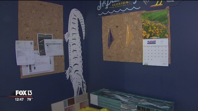 Creative Arts Unlimited designs displays across Tampa Bay