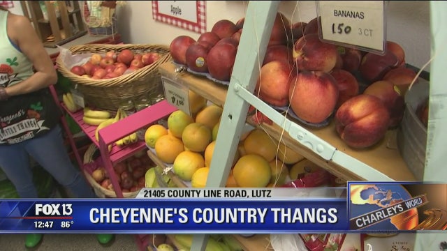 Local organic food market has Native American roots