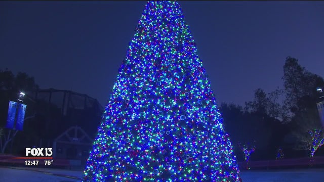 'Christmas in the Wild' returns to Lowry Park Zoo