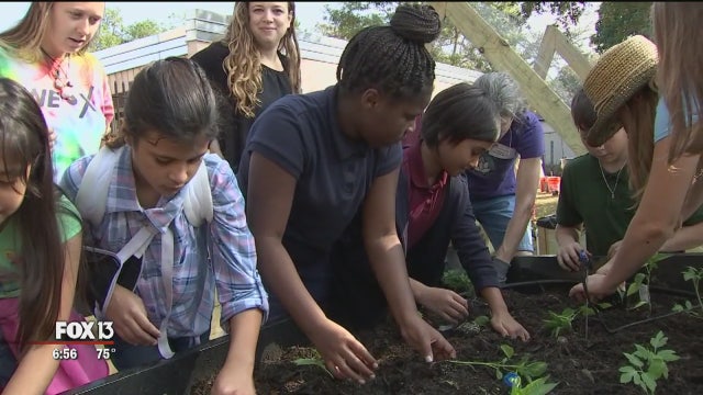 Student garden brings fresh food to families' tables
