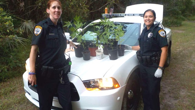 If you're missing your weed, check with Gainesville police