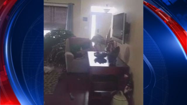 Md. teen fatally shoots deer after it busts through front door of home