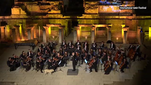 Dog crashes orchestra at International Izmir Festival in Turkey, steals the show (VIDEO)
