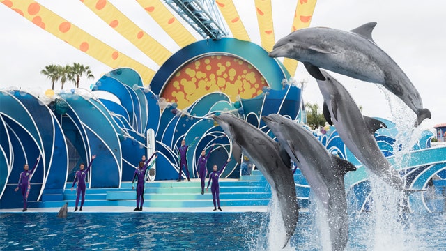SeaWorld set to open new dolphin show in Orlando