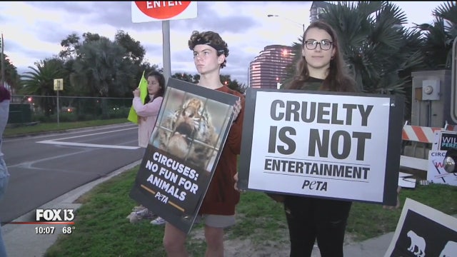 Protesters, fans come out for Tampa's last circus