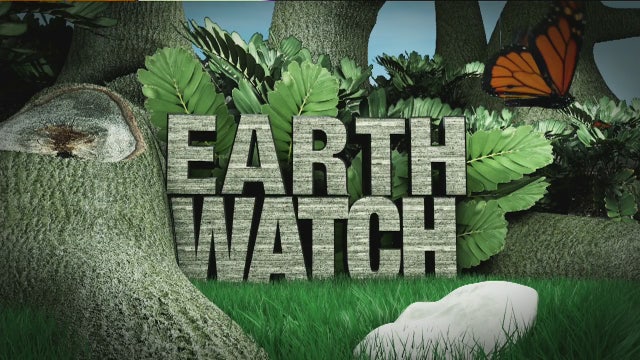 Earth Watch: i-Ride Sarasota