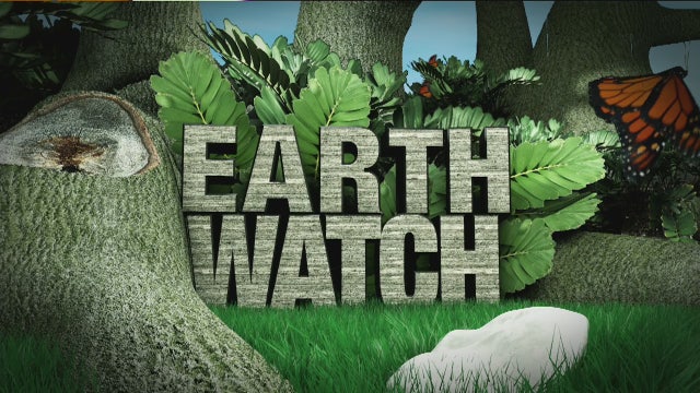 Earth Watch: Planting native