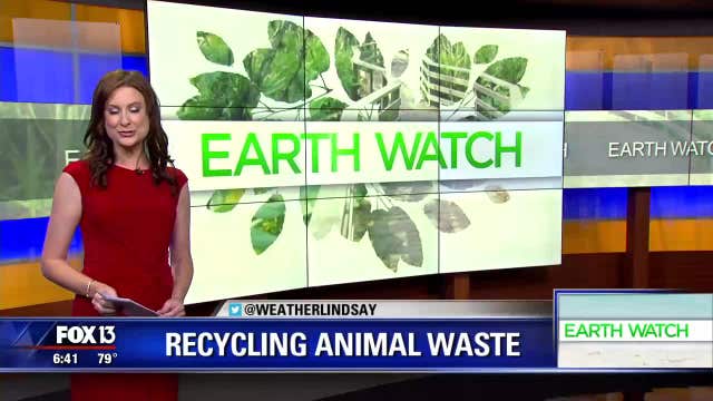 Earth Watch: Animal waste cleanup