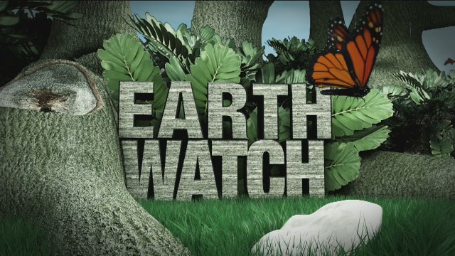 Earth watch: Summer fertilizer changes
