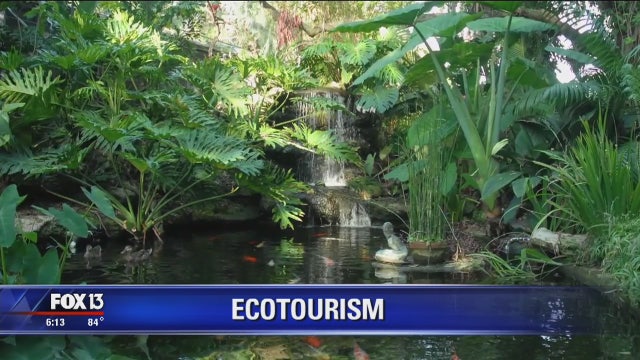 Trading Mickey Mouse for Mother Nature