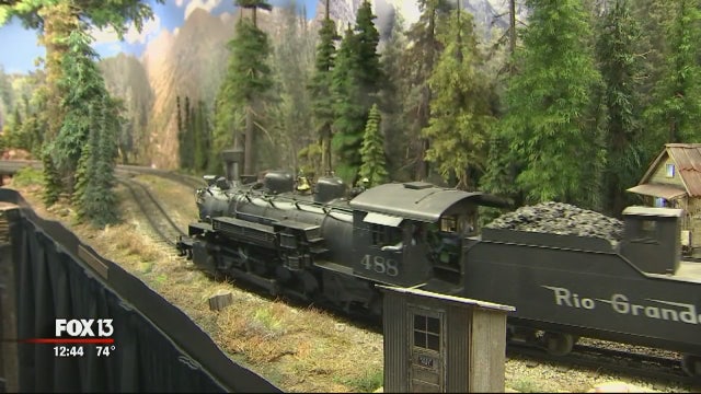 Collection of fine scale models assembled in Tampa Bay