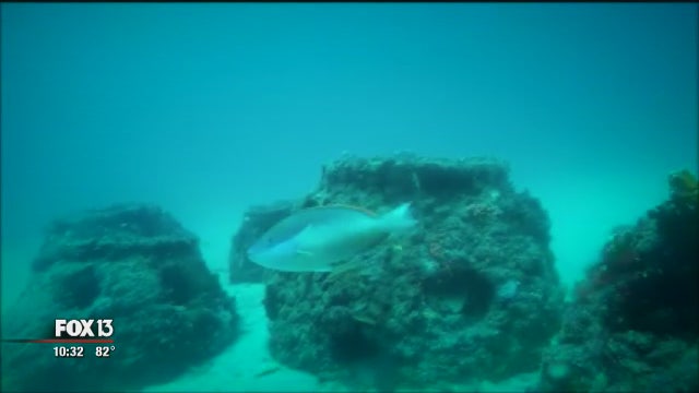 This final resting place comes alive