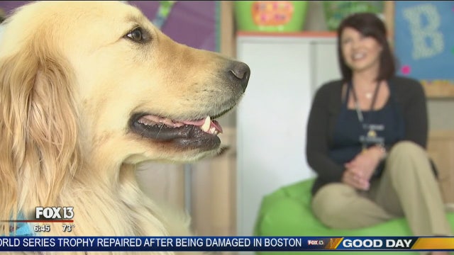 Extraordinary Ordinary: Pet therapy escort