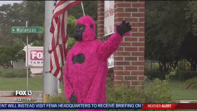 Extraordinary Ordinary: State Vacuum's David Epstein