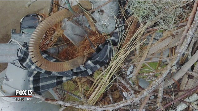 Osprey steals man's favorite cashmere scarf to build nest