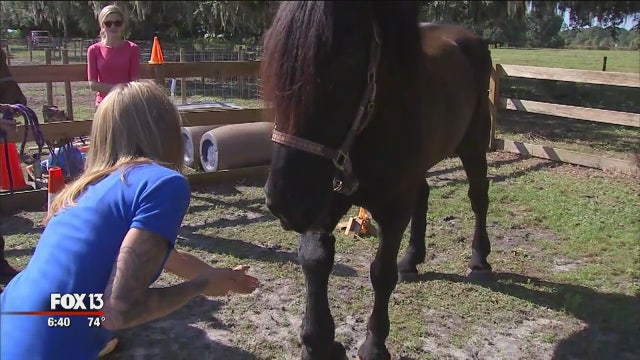 Faith in Action: Gaits of Hope