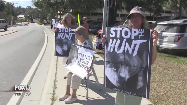 Wildlife commission sets sights on another bear hunt